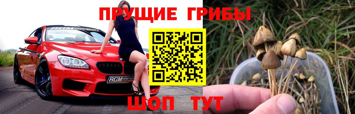 Галлюциногенные грибы MAGIC MUSHROOMS Дедовск