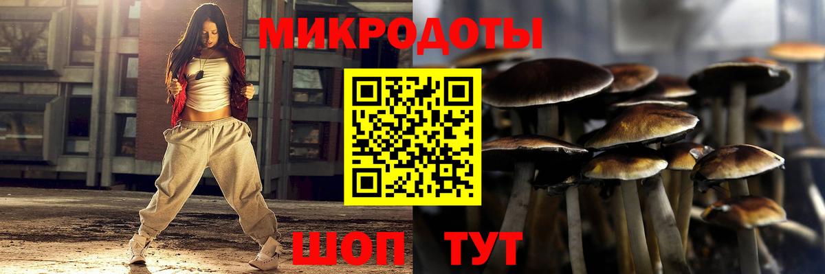 Псилоцибиновые грибы Psilocybine cubensis  Вход с VPN  Псилоцибиновые грибы Psilocybe  Дедовск 